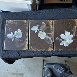 3 Piece Black Lotus Flower Wall Art Decor