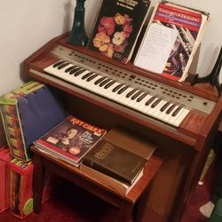 Organ