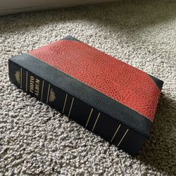 Photo Album (300 Pictures) 