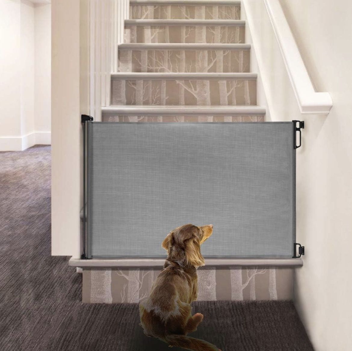EasyBaby Retractable Baby Gate, 33" Tall, Extends up to 55'' Wide, Grey