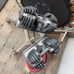 Bowflex SelectTech 552 Adjustable Dumbbells w/ Stand 