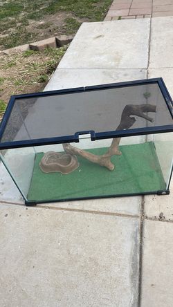 10 gallon reptile tank