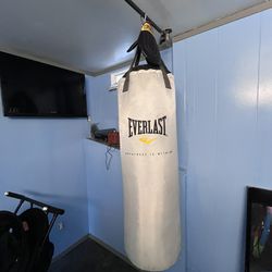 Everlast  Punching Bag With Gloves For Sale 