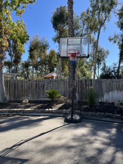 Basketball Hoop