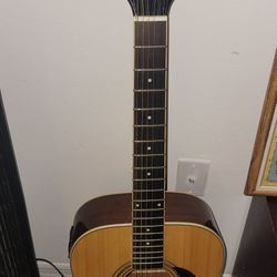 GUITAR  12 strings with TUNNER