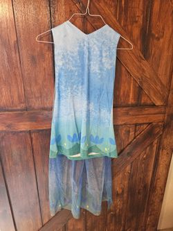 Girls Blue Floral Costume Dress with Tulle