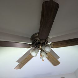 Ceiling Fan