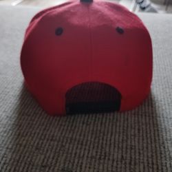 Portland Trail Blazer Snap Back