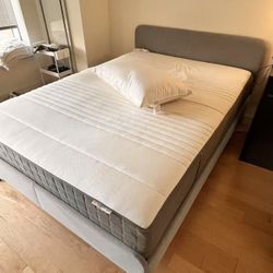 DESIGNER BED FRAME FREE FIRST COME FIRST TAKEN - No Flakes! (Financial (Financial District)