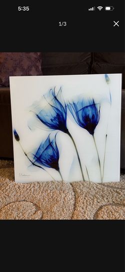 Glass Wall Art