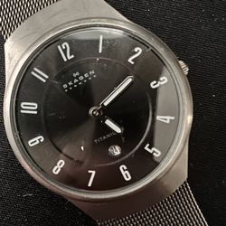 Skagen Titanium Ultra Slim Watch