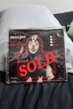 Halloween Costume for Pet