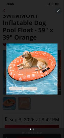 Inflatable dog pool float 59 x 39