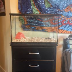 30 gallon aquarium 