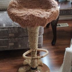 Cat Scratcher / Bed Bar Stools Convertion