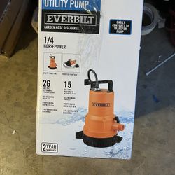 Everbilt 1/4 HP 2-in-1 Pump