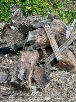 Got Wood 🪵 - FREE