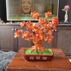 Chinese Fortune Tree
