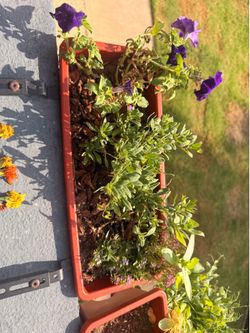 Purple Pollinator Railing Planter