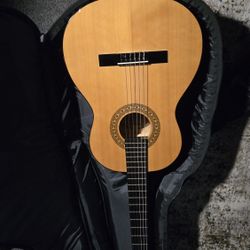 Acoustic Guitar And Bag 