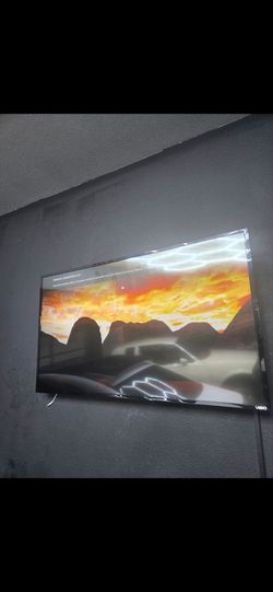 VIZIO 55in. -  $100 - OBO