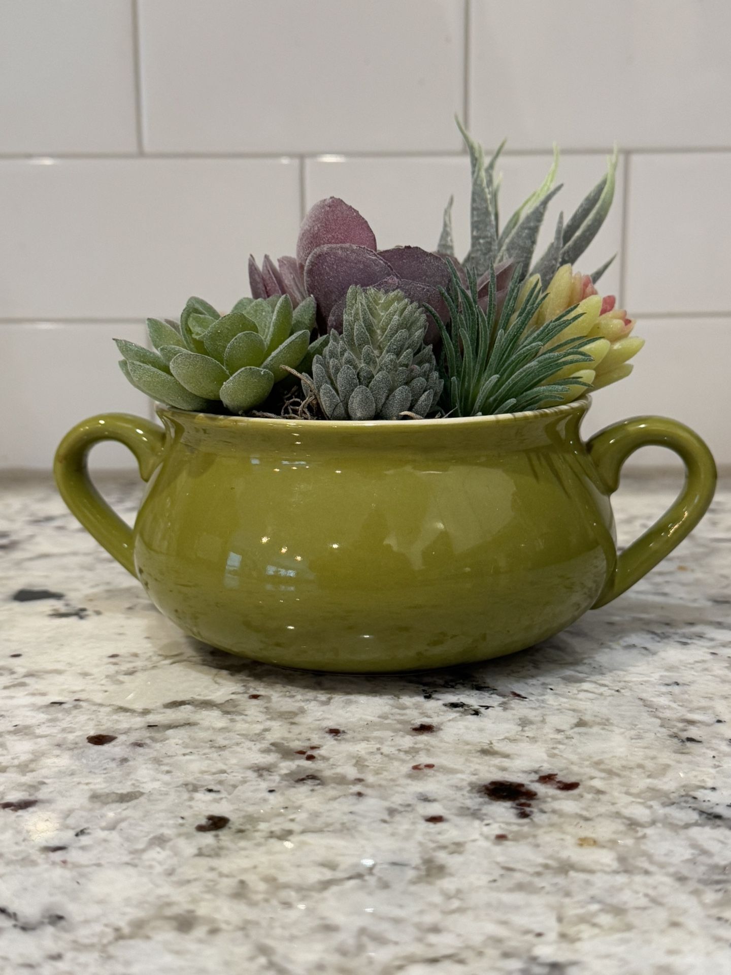 Faux succulent In Ceramic Bowl