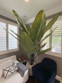 Restoration Hardware RH Faux Banana Tree – 7’10” – Planter Included