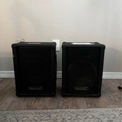 POWERWERKS SPEAKERS - PA SPEAKERS