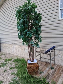 A very nice Tree for your outdoor decoration. Great condition. Very nice
