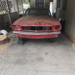 1966 Mustang