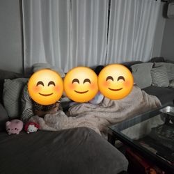 FREE Large Sectional Couch