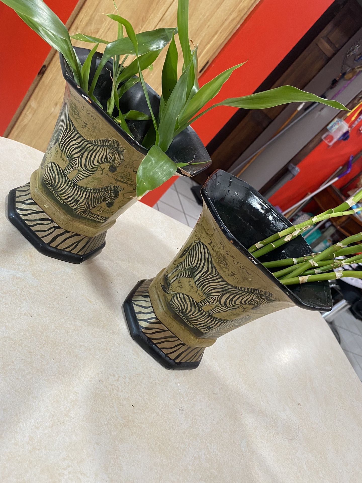 Zebra Vases