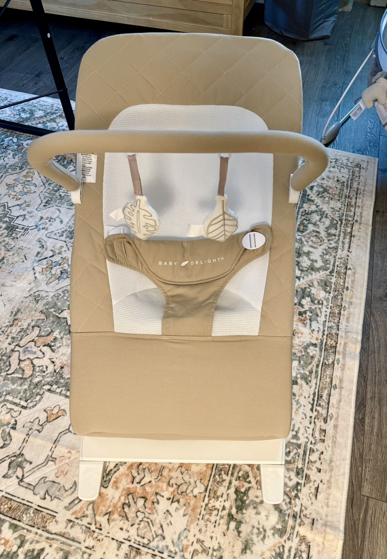 Baby Delight Bouncer