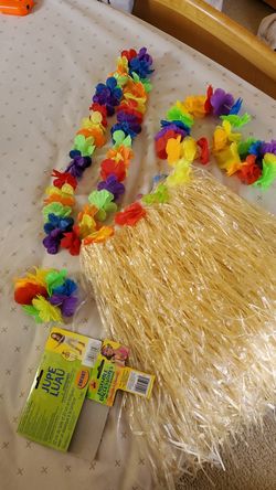 Adorable Child Hawaiian Costume