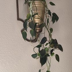 Elegant Metal Wall Candle | Plant Holder 