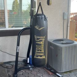 Everlast Powercore Dual Bag and Stand, Includes Everlast Gloves And One Set Of Dumbbells 