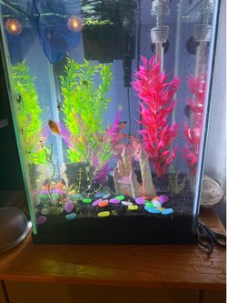 Colorful fish tank 10 gal with lid, filter, replacement filters and decor on