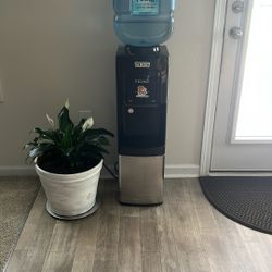 Primo Black Water Cooler 