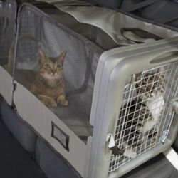 Extra Large Nylon Cat Carrier Approx 48"x18" Brand New