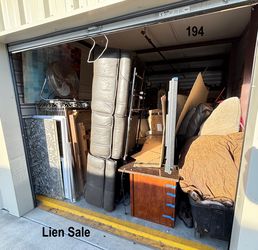 Lien Auction Unit 194 12/13 - Electronics, Household Items, Furniture