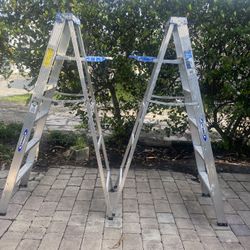 6ft Ladders 