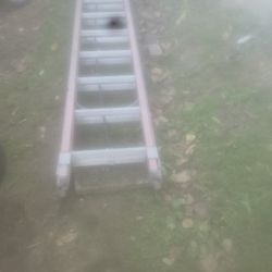 Fiberglass Ladder