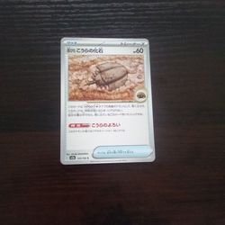 Old Dome Fossil #155