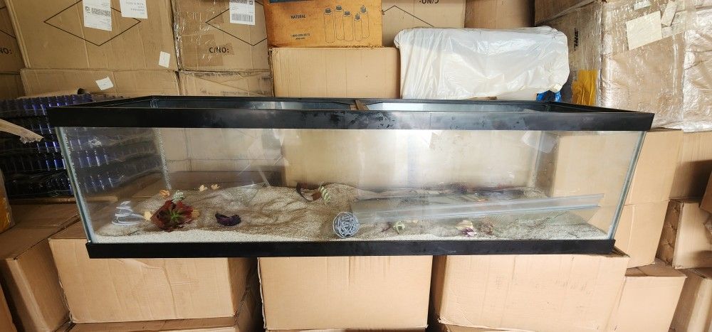Fish Tank Aquarium Available Large With Filter System