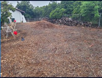 Free Wood Chips in Diamond Bar Area Available for Free