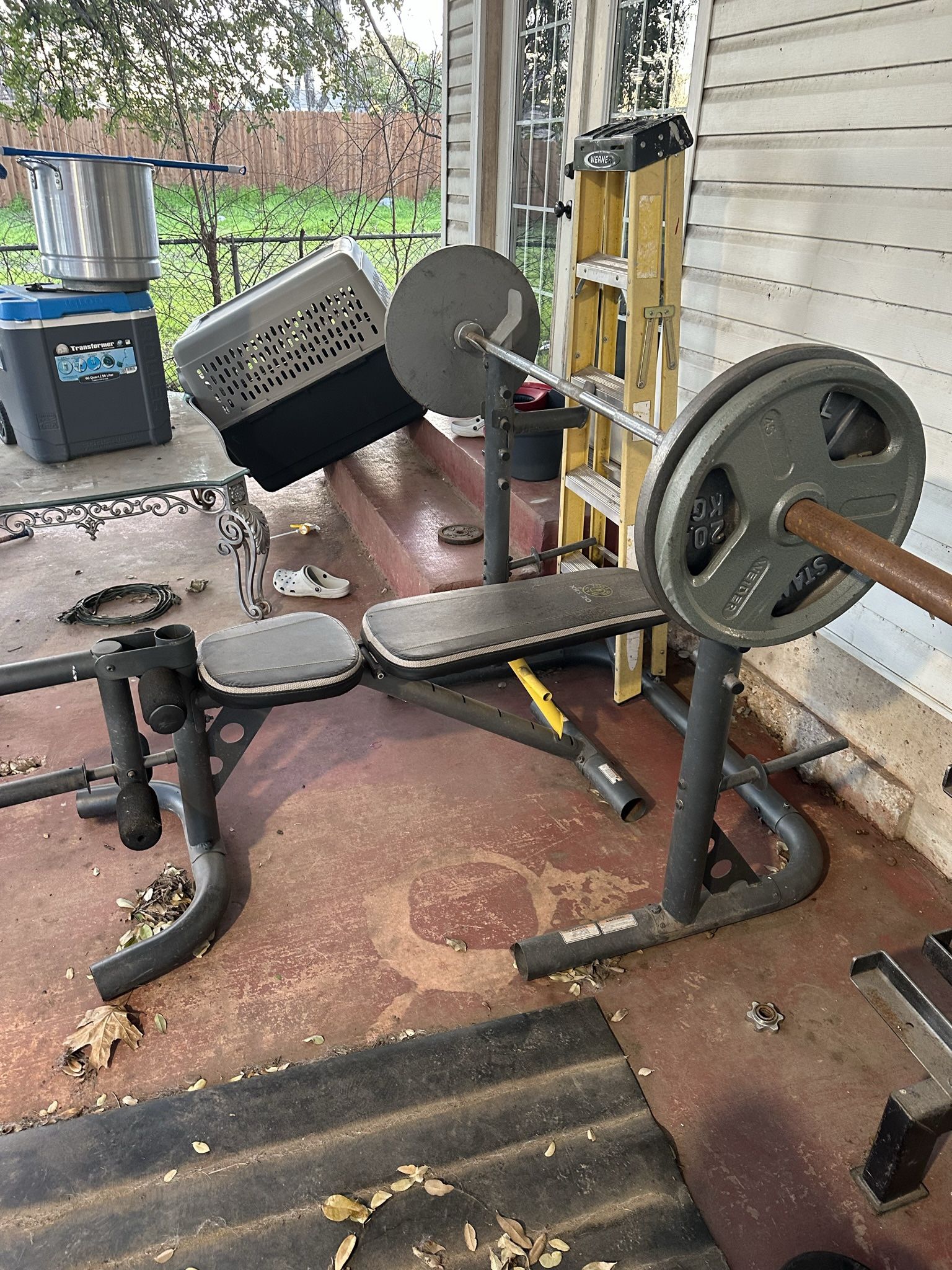 Weights 1$ Lb Plates & Dumbbells 