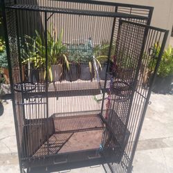 Cage
