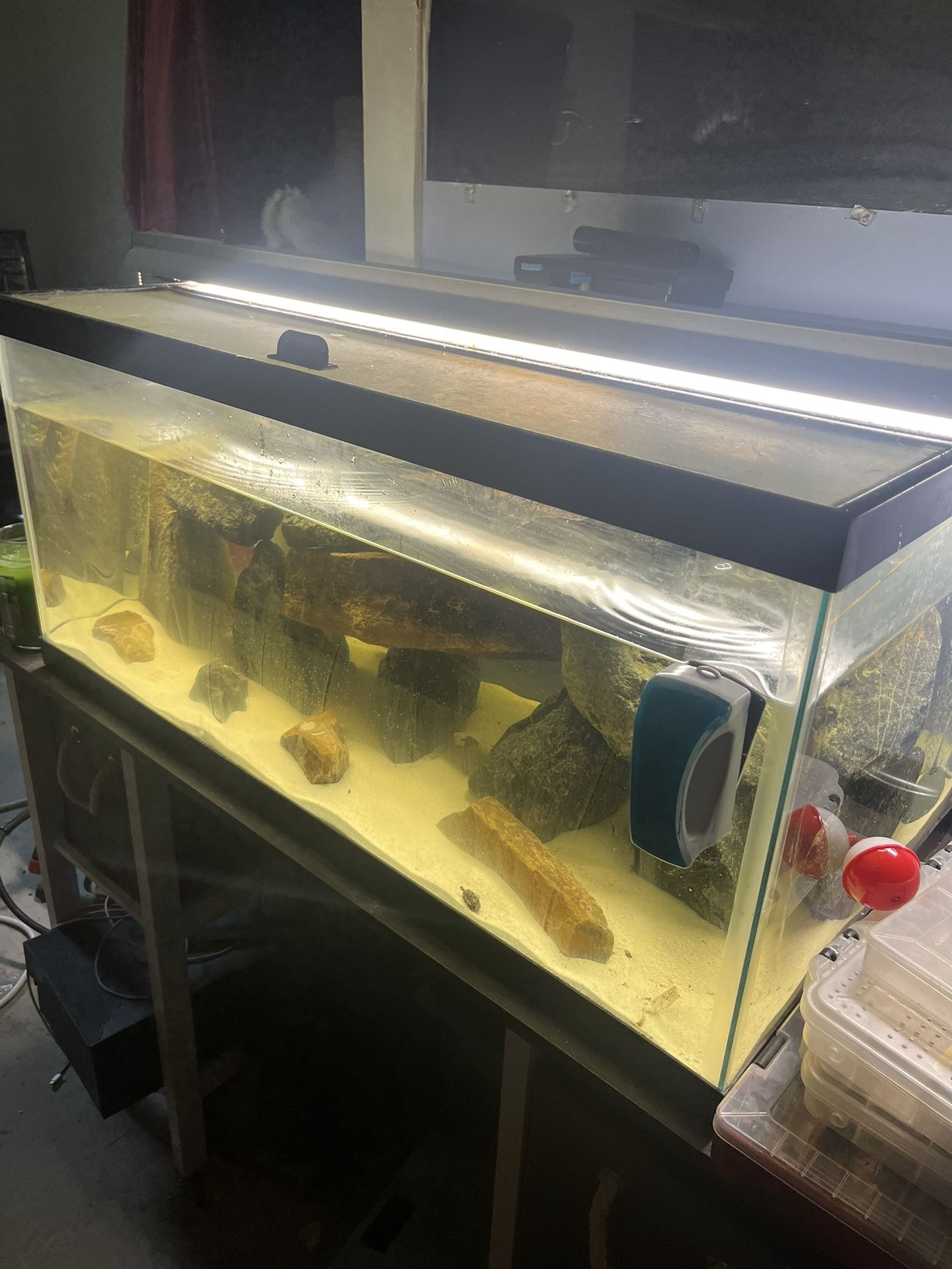 Fish Tank