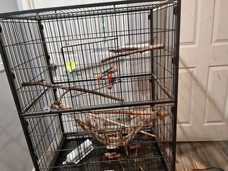 Bird flight cage! (Toys and perches not included) except for net