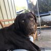 Tim